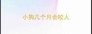 小狗几个月会咬人
