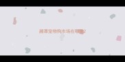 湘潭宠物狗市场在哪里