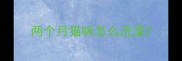 两个月猫咪怎么洗澡