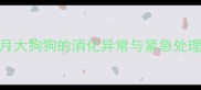 幼犬便便发黑真相两个月大狗狗的消化异常与紧急处理指南附专业兽医建议