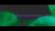 柴犬拉布拉多的优缺点