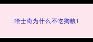 哈士奇为什么不吃狗粮