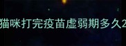 猫咪打完疫苗虚弱期多久