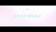 斗牛犬打疫苗多少