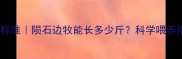 边牧体重标准陨石边牧能长多少斤科学喂养指南来了