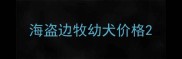 海盗边牧幼犬价格