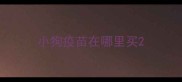 小狗疫苗在哪里买