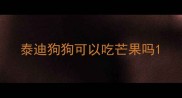 泰迪狗狗可以吃芒果吗