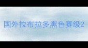 国外拉布拉多黑色赛级