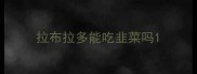 拉布拉多能吃韭菜吗
