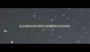 适合家庭饲养的低成本宠物推荐及饲养指南