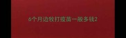6个月边牧打疫苗一般多钱