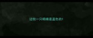 边牧一只眼睛是蓝色的