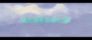 安庆领养拉布拉多