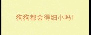 狗狗都会得细小吗