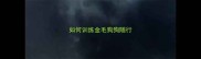 如何训练金毛狗狗随行