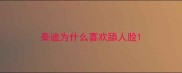 泰迪为什么喜欢舔人脸