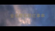 金毛跟苏联红串串