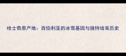 哈士奇原产地西伯利亚的冰雪基因与独特培育历史