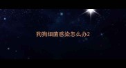 狗狗细菌感染怎么办