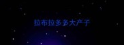 拉布拉多多大产子