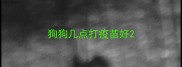 狗狗几点打疫苗好