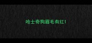 哈士奇狗眉毛有红