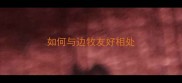 如何与边牧友好相处