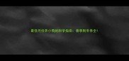 最佳月份养小狗的科学指南春季到冬季全