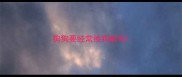 狗狗要经常换狗粮吗