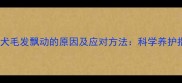 金毛犬毛发飘动的原因及应对方法科学养护指南