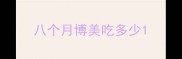 八个月博美吃多少