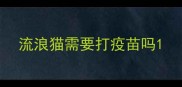 流浪猫需要打疫苗吗