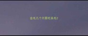 金毛几个月要吃美毛
