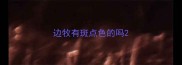 边牧有斑点色的吗