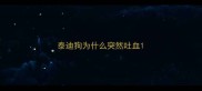 泰迪狗为什么突然吐血