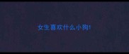 女生喜欢什么小狗