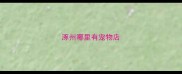 涿州哪里有宠物店