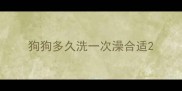 狗狗多久洗一次澡合适