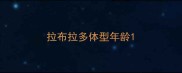 拉布拉多体型年龄