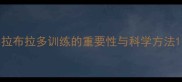 拉布拉多训练的重要性与科学方法