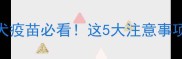 幼犬未接种狂犬疫苗必看这5大注意事项和补救措施全