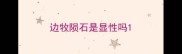 边牧陨石是显性吗