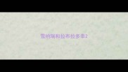 雪纳瑞和拉布拉多串