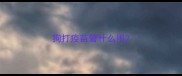 狗打疫苗管什么用