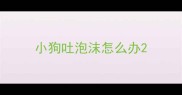小狗吐泡沫怎么办