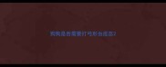 狗狗是否需要打弓形虫疫苗