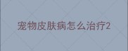 宠物皮肤病怎么治疗