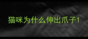 猫咪为什么伸出爪子
