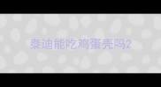 泰迪能吃鸡蛋壳吗